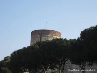 stello Ursino-17-03-2014 19-33-56